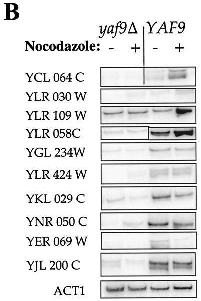 FIG. 8.