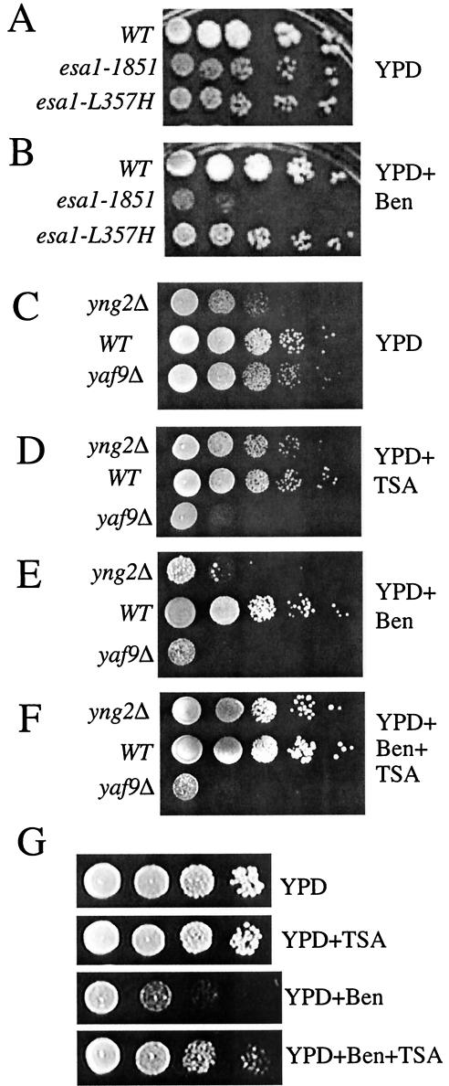 FIG. 9.