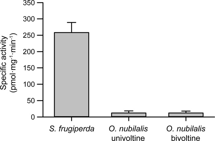 Fig. 6