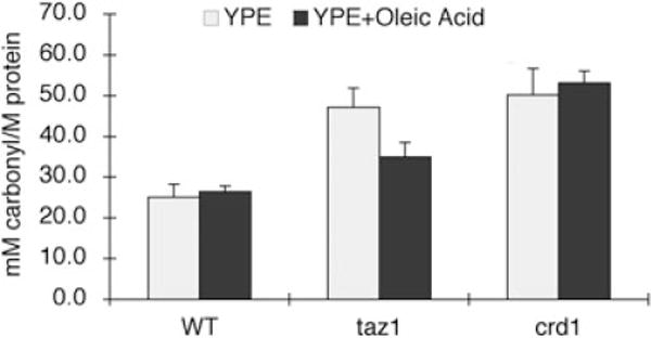 Fig. 9