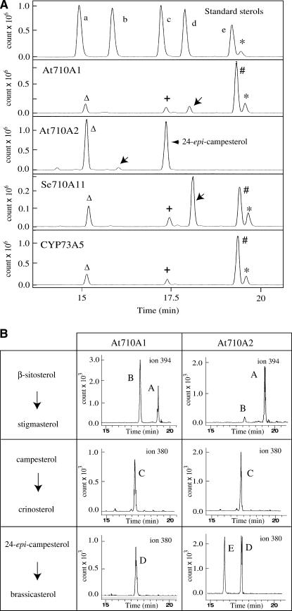 Figure 4.