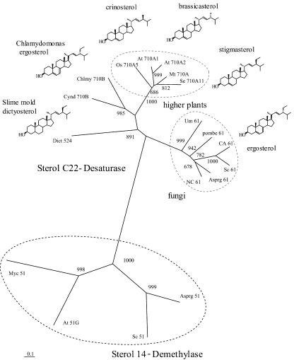 Figure 9.