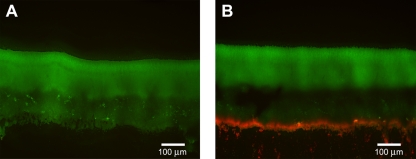 Fig 8