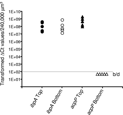 Fig 5