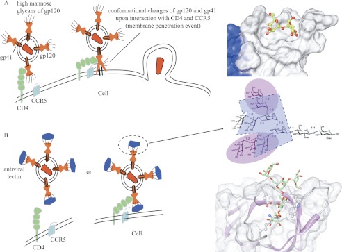 FIGURE 9.