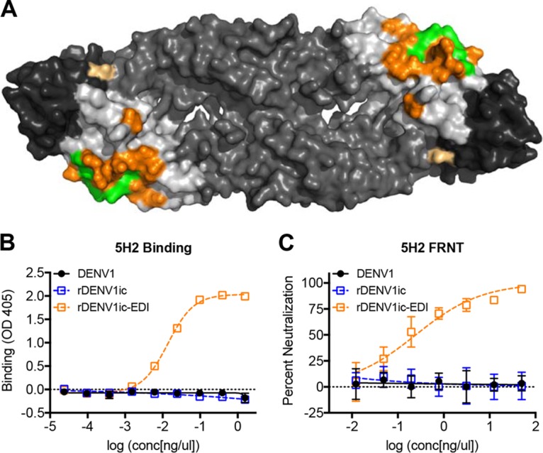 FIG 4 