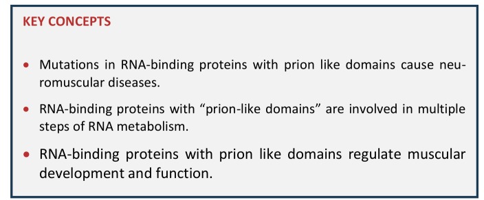 Key Concepts