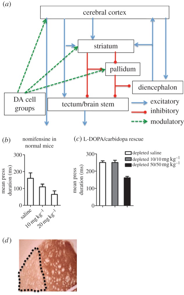 Figure 1.