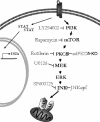 Figure 8.