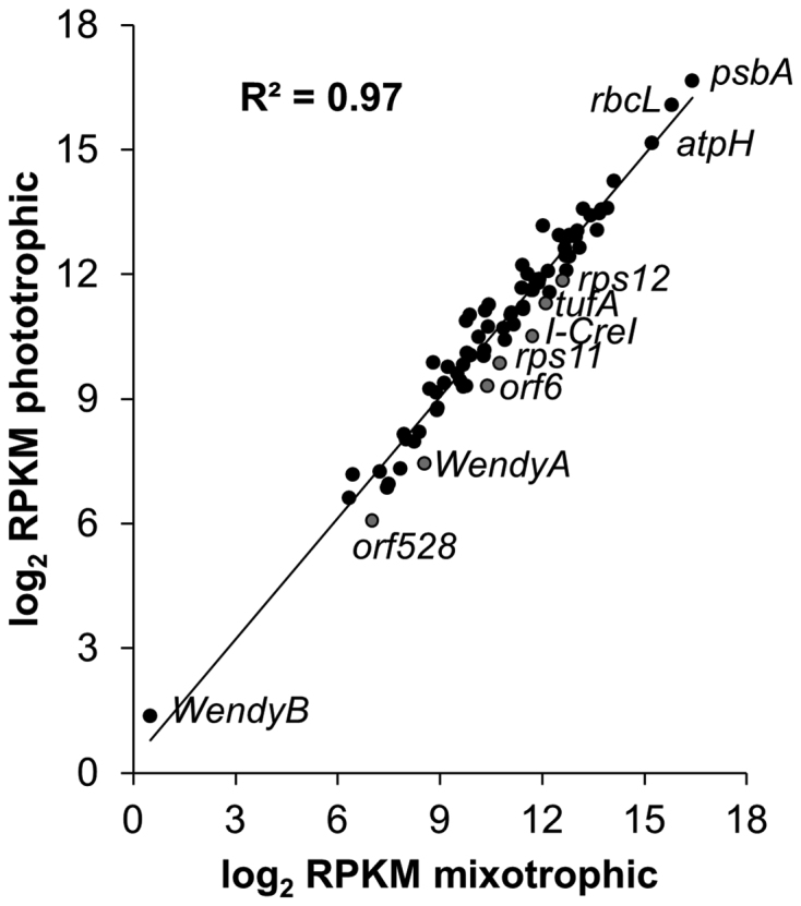 Figure 5.