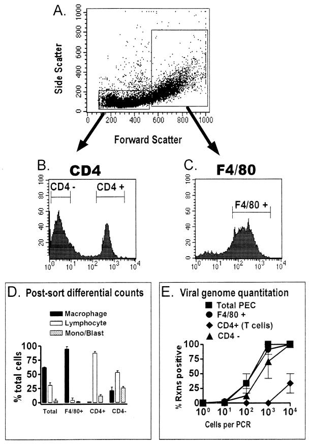 FIG. 6