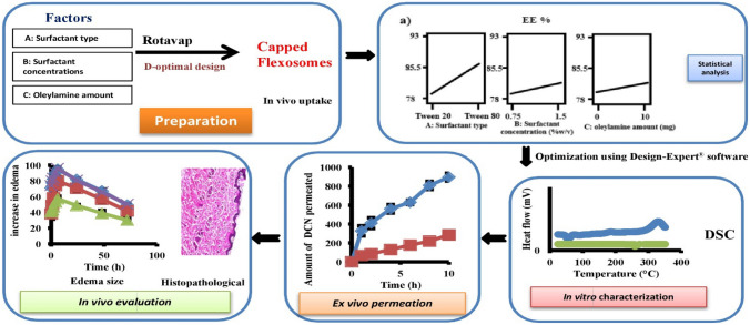 graphic file with name 13346_2024_1522_Figa_HTML.jpg