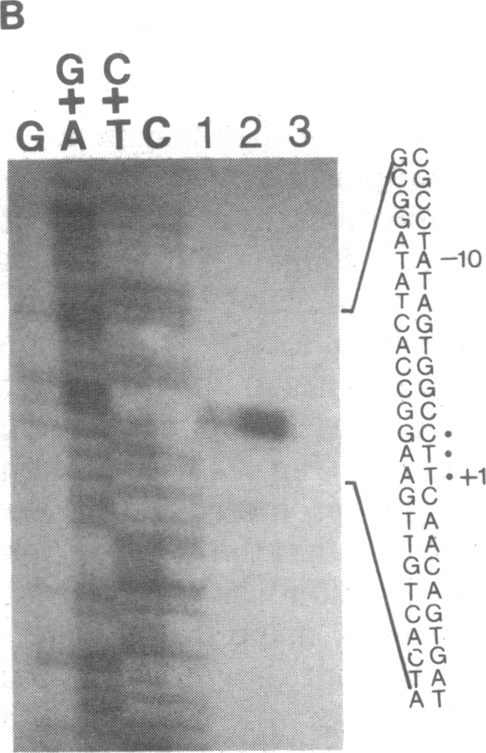 graphic file with name pnas00313-0092-a.jpg