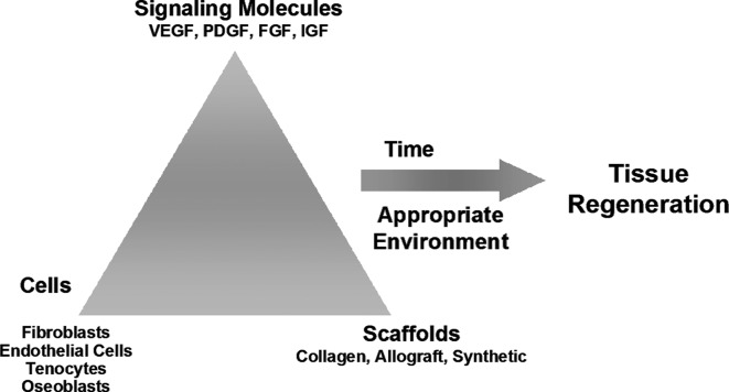 graphic file with name fig-3.jpg