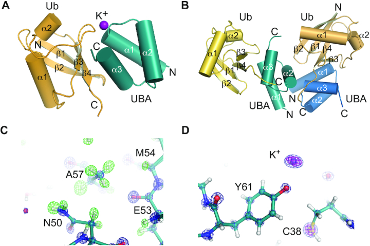 Figure 4.