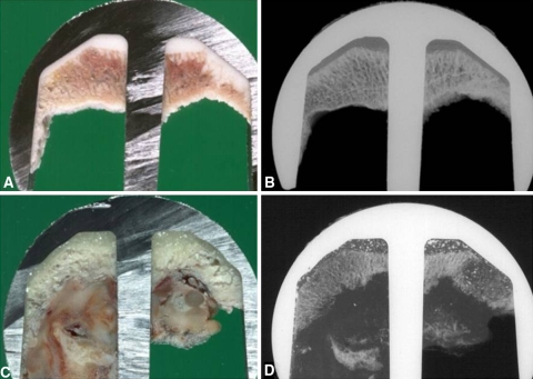 Fig. 2A–D