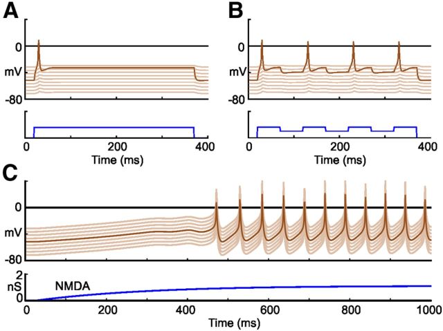 Figure 5.