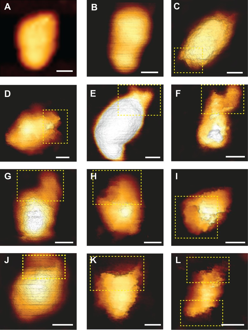 FIG 2