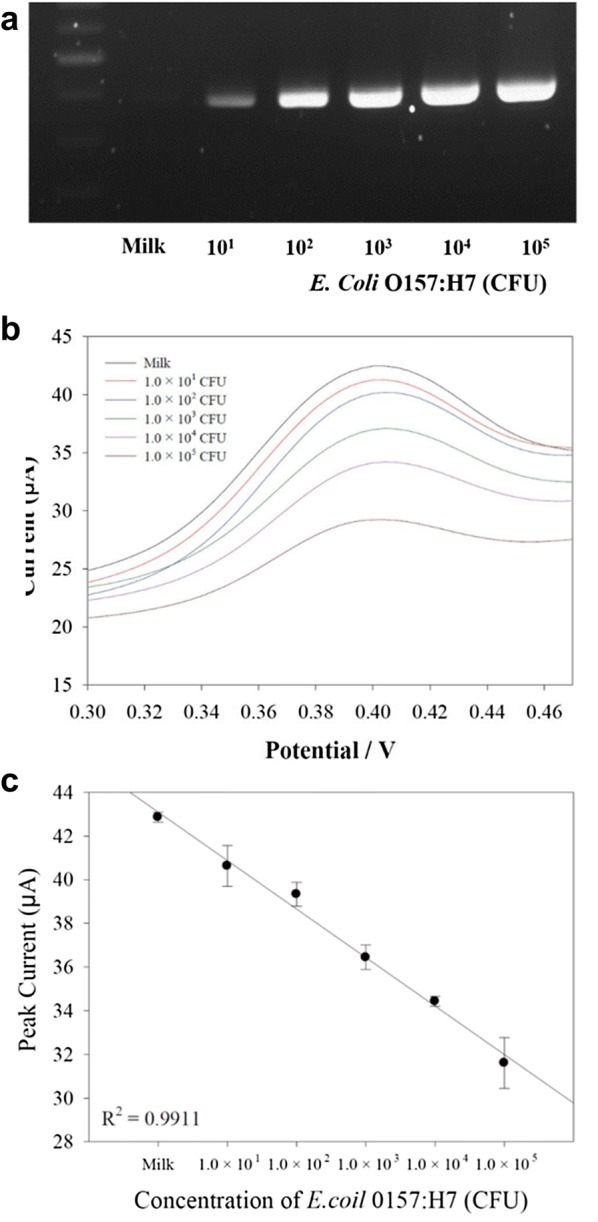 Fig. 4