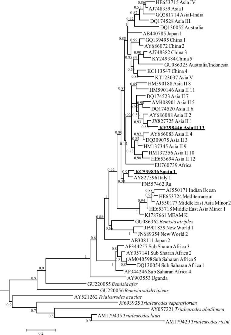 Fig 1