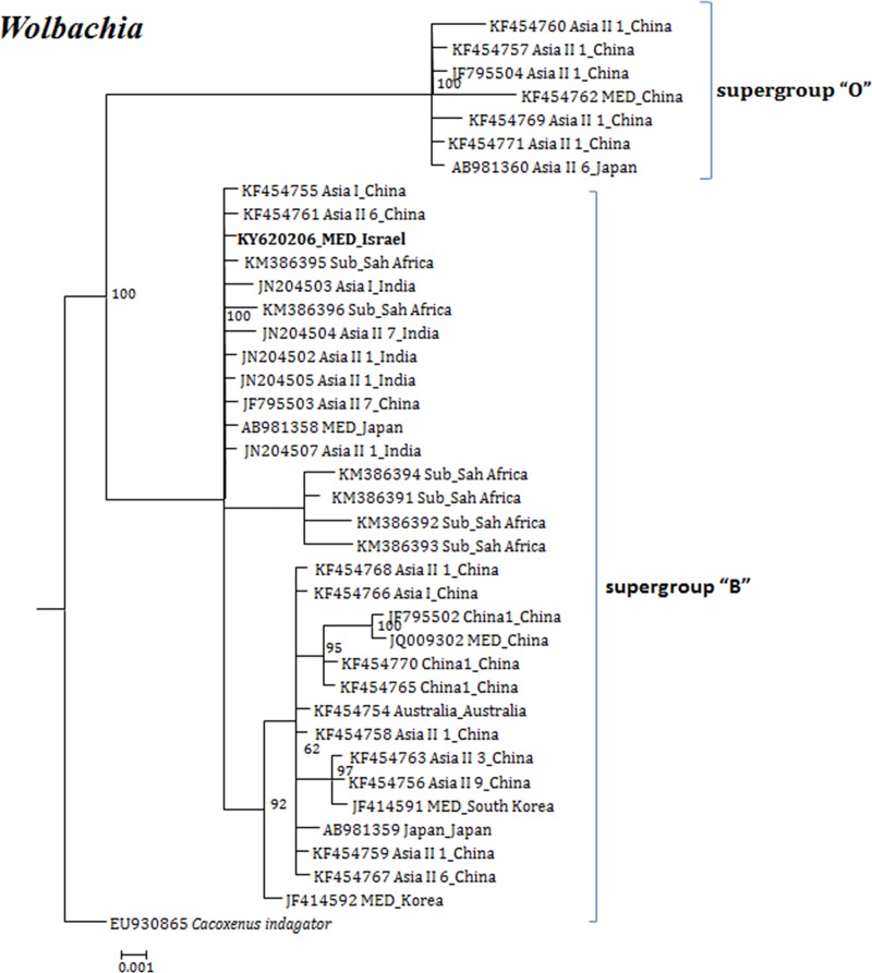 Fig 6