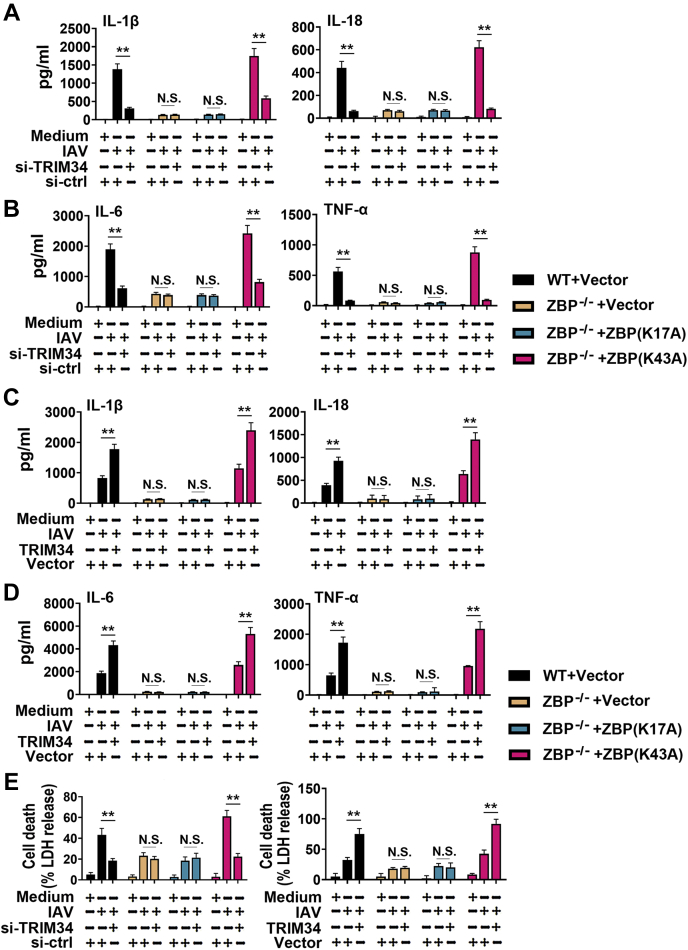 Figure 6