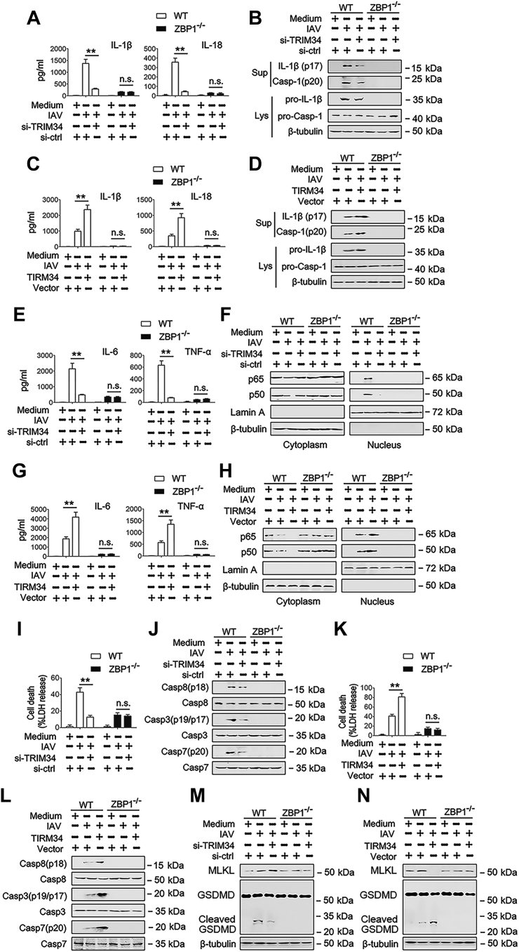 Figure 5