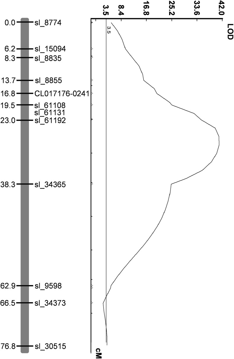Fig. 2