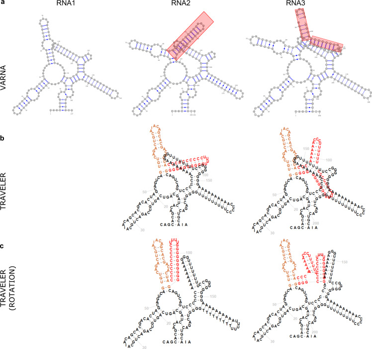 Fig. 6