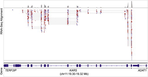 Figure 2