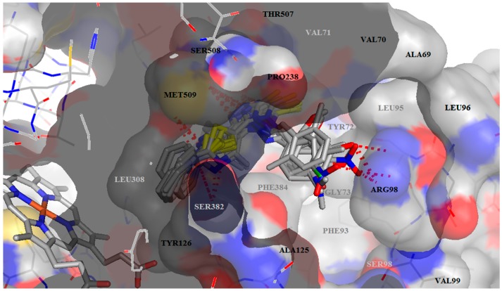 Figure 2