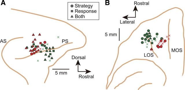 Figure 9.