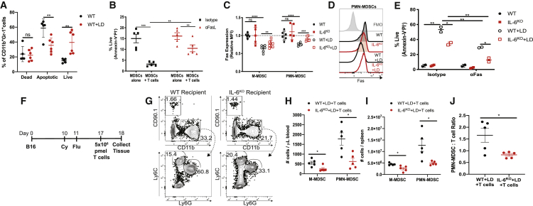 Figure 7