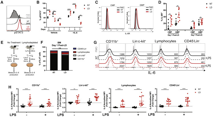 Figure 6