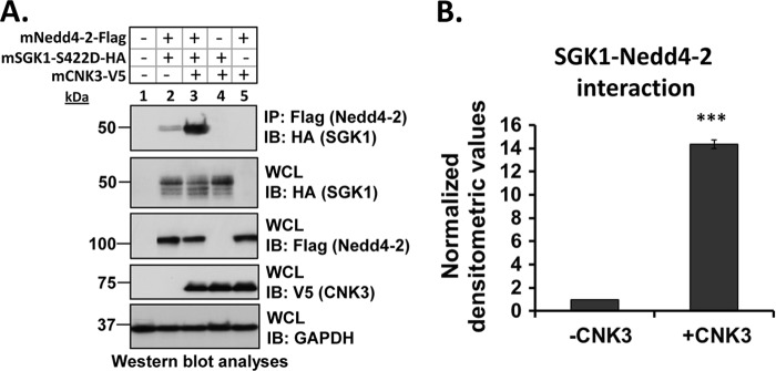 FIGURE 4.