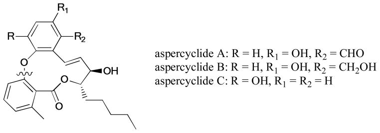 Scheme 79