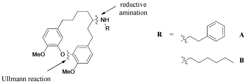 Scheme 66