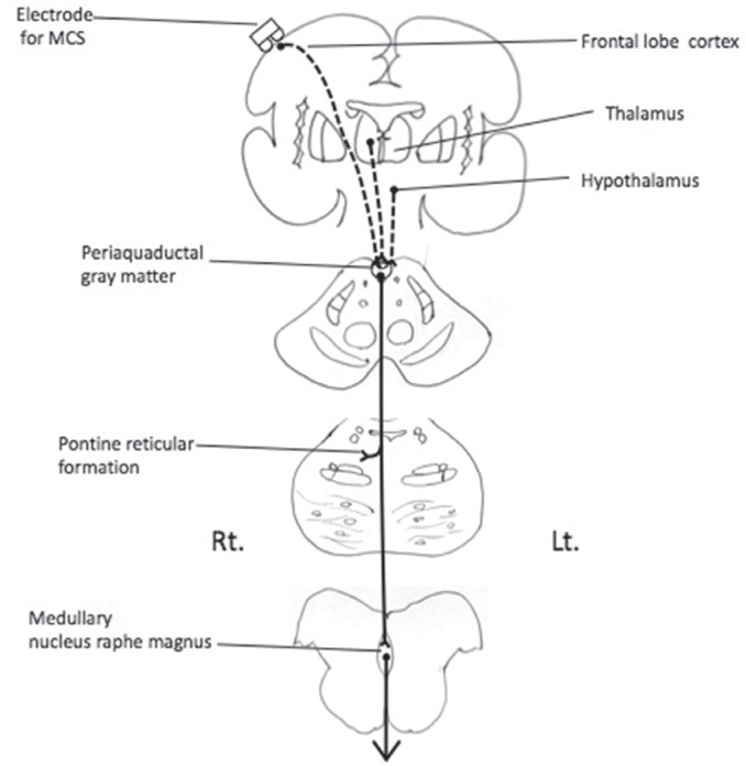 Fig. 7.