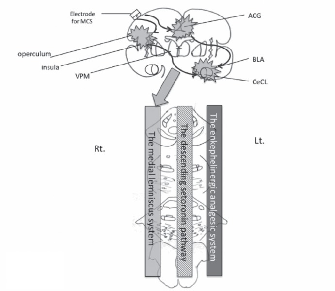 Fig. 8.