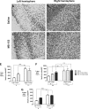 <b>FIG. 3.</b>