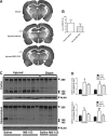 <b>FIG. 4.</b>