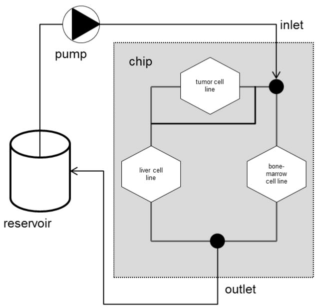 Fig. 9