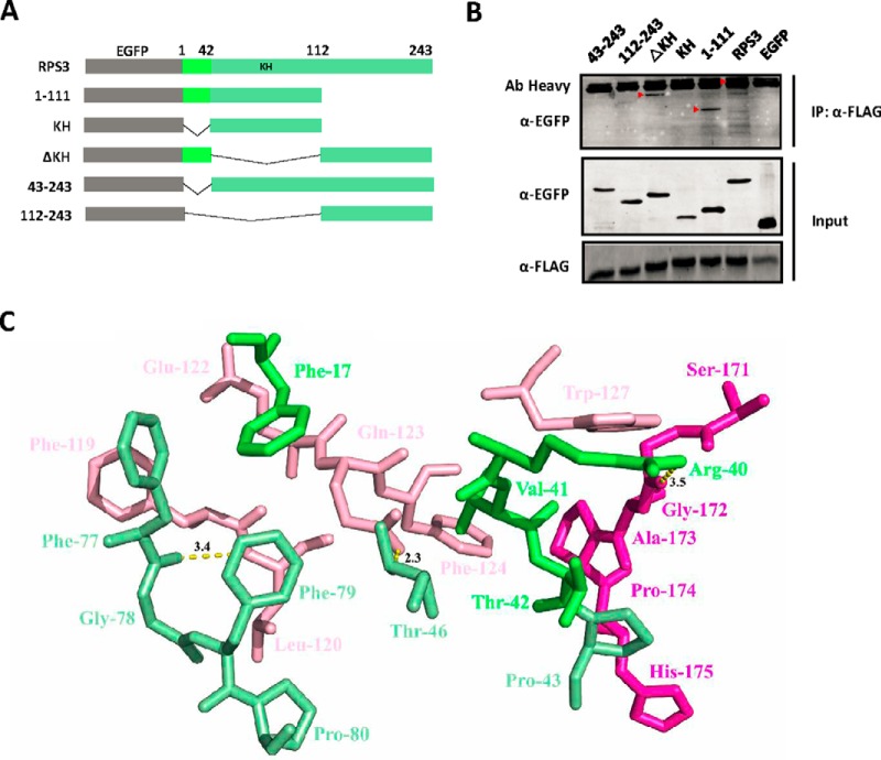 Fig. 3.