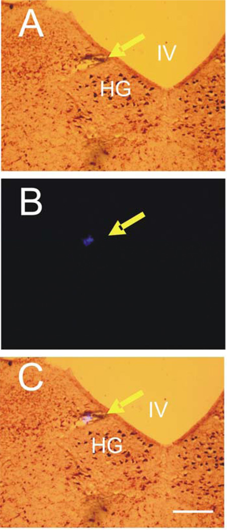 Figure 4