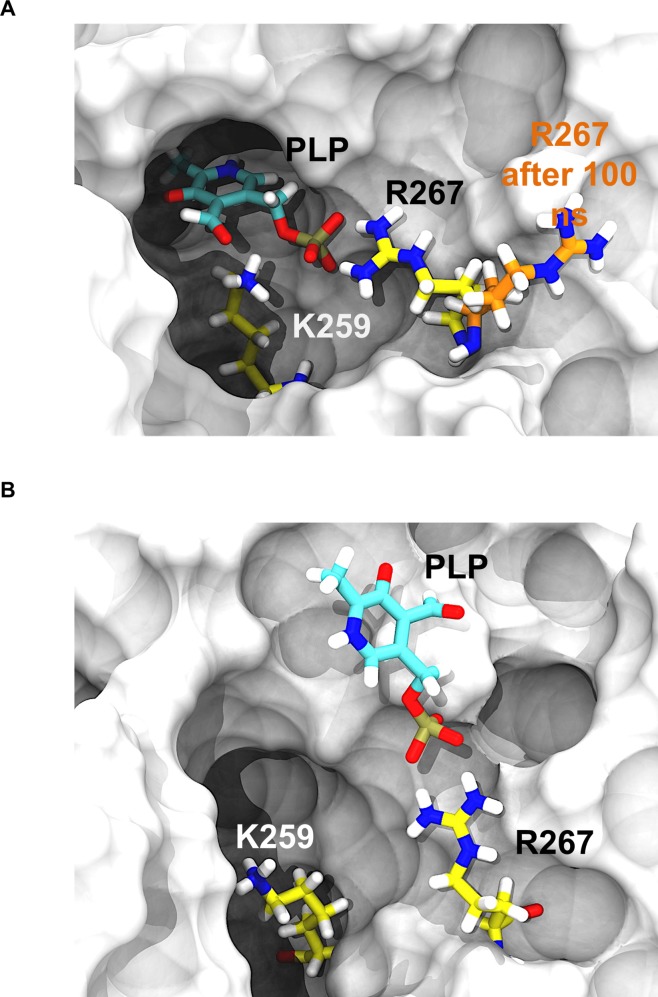 Fig 6