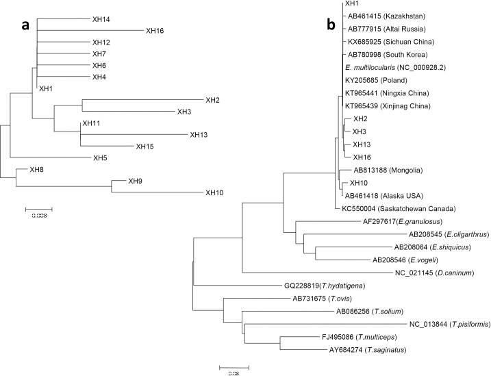 Fig 4