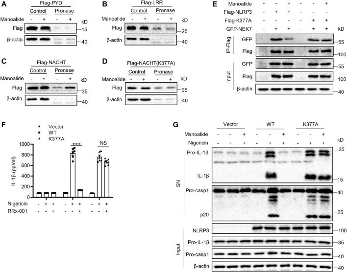 FIGURE 6