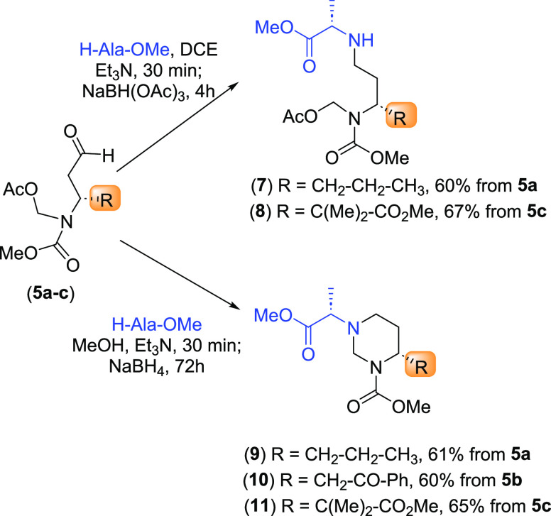 Scheme 4