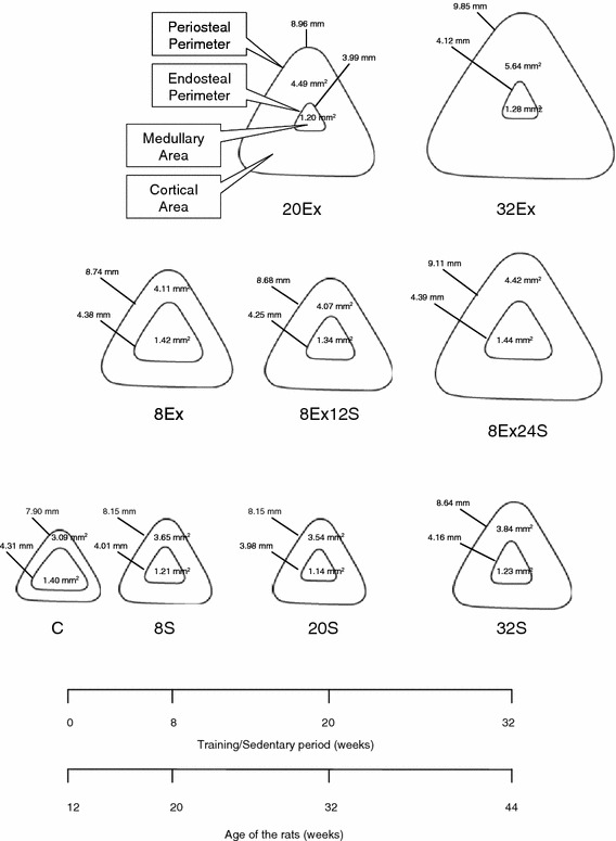 Fig. 2