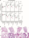 Fig 5
